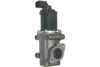 FISPA 83.636 EGR Valve